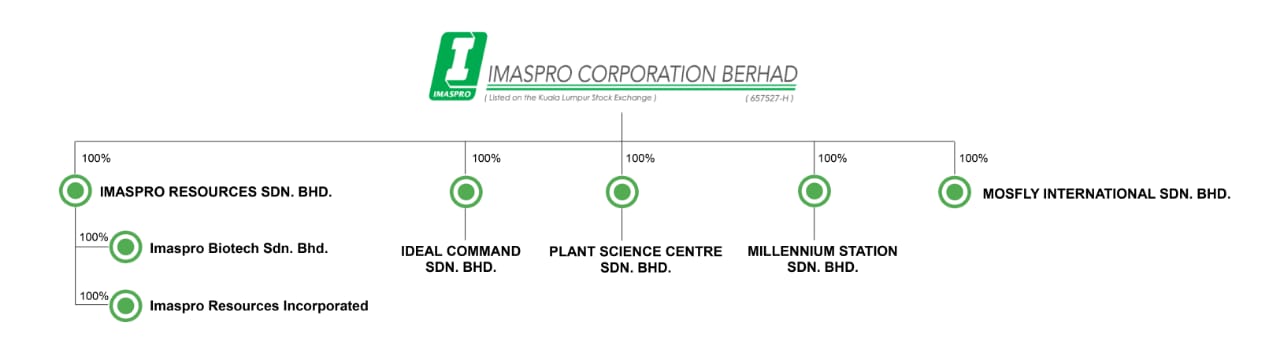 corporate_structure